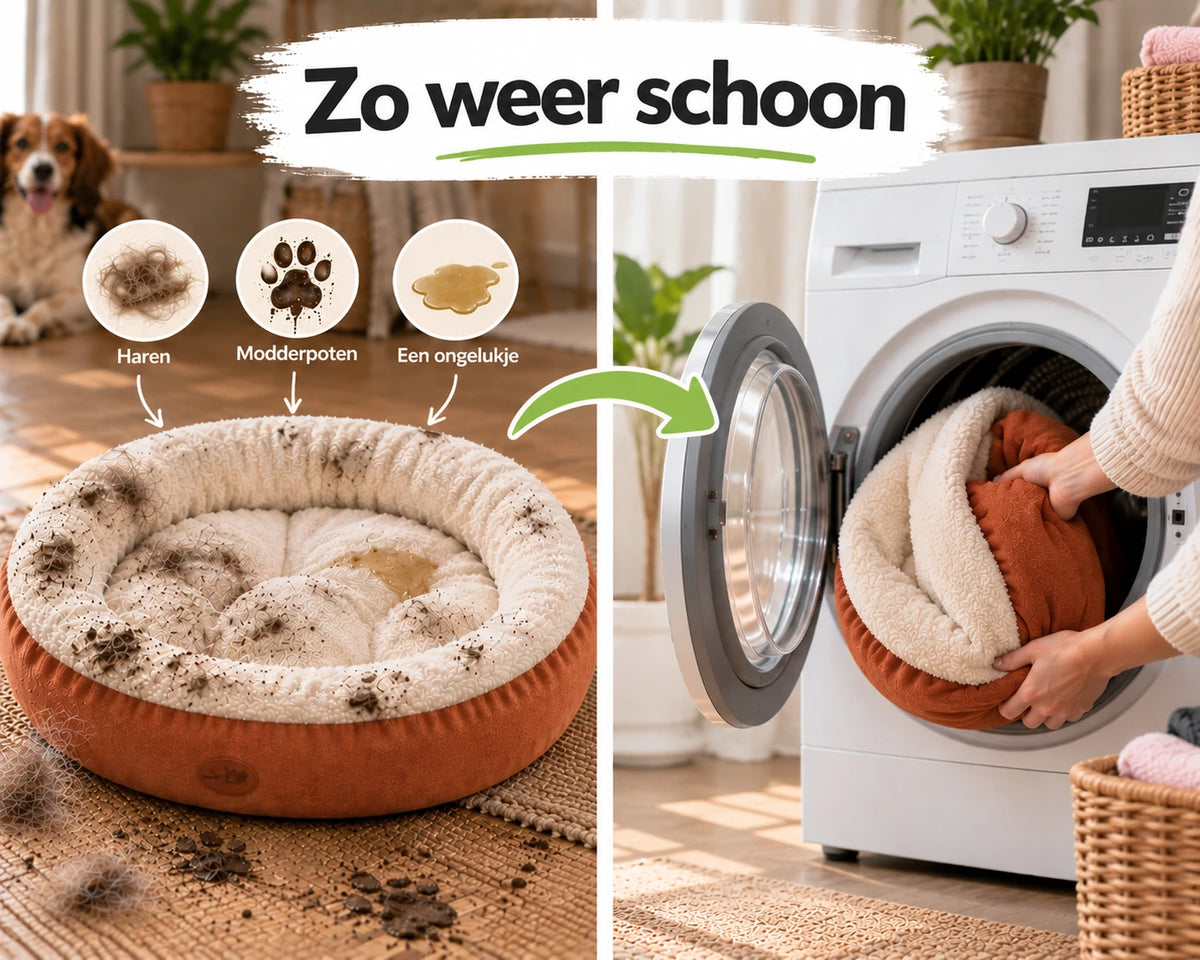 Pawse Nest - Donut hondenbed dat je hond tot rust brengt